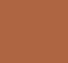 Squash camel